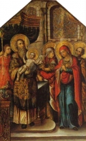 Purification of the Virgin